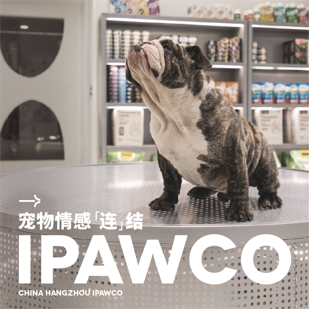 「虚谷無界·設計現場」IPAWCO 宠物品牌视觉